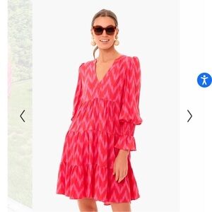 Pomander Place Ikat Kenzo Hot Pink Chevron Print Mini Dress Size XS